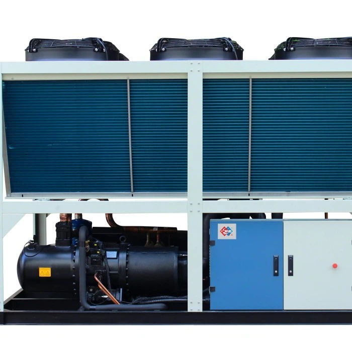 Dehui Air Cooled Screw Chiller for Craft Beer Brewery